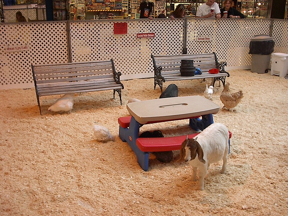 Dierenweide Weidesteyn