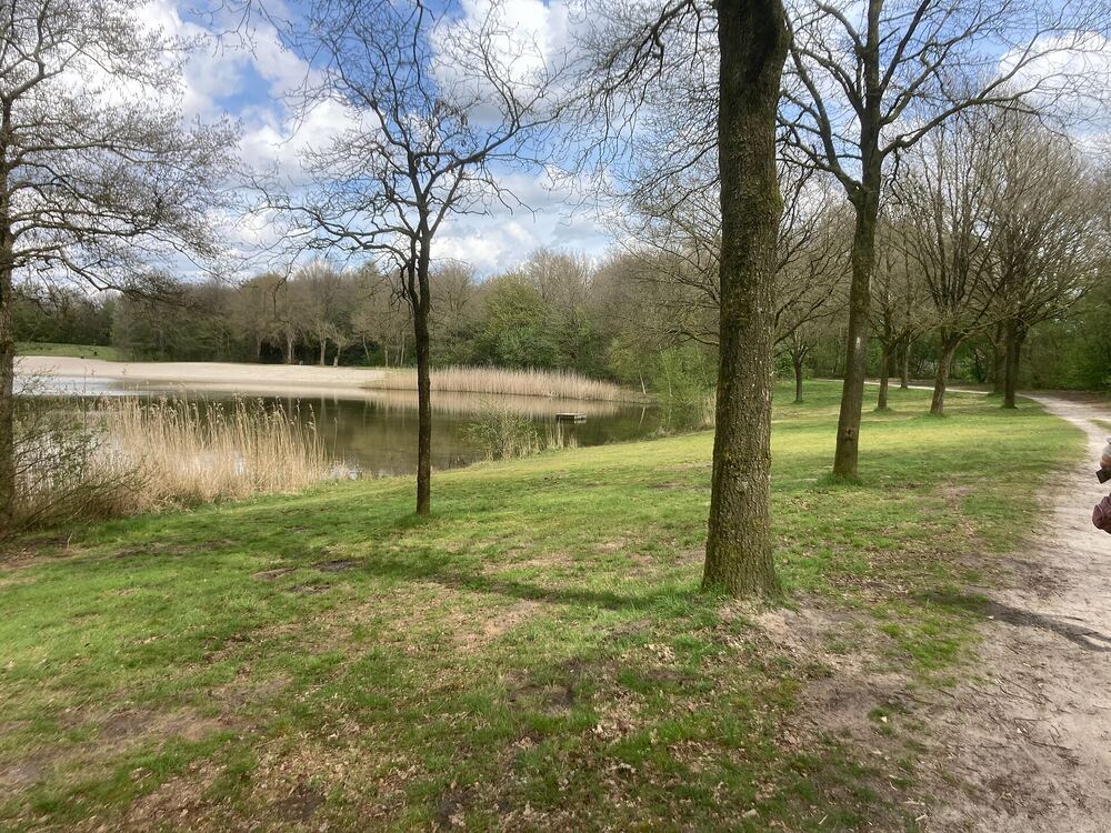 Een vijver met wandelpad in de bossen bij Hoogeveen