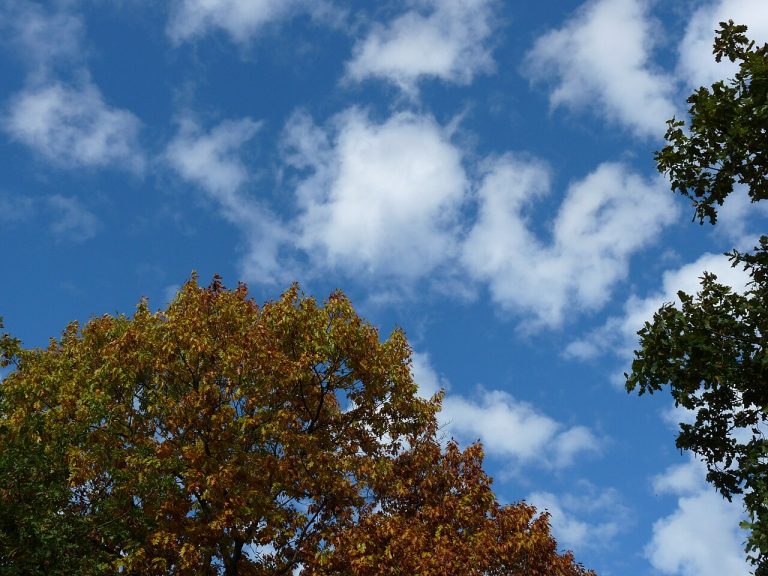 Expositie in Schoonhoven (natuurgebied) — Musea in Hoogeveen
