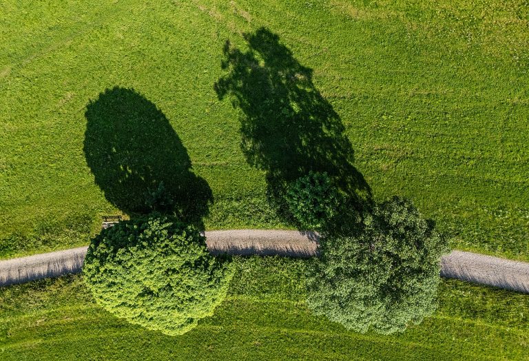 Wandeling in Bentinckspark — Natuur in Hoogeveen