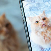 Workshop Mooie Foto’s Maken met je Smartphone – September in Hoogeveen
