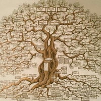 Genealogie Elim: Weet jij waar je familie vandaan komt? — familie-kids in Hoogeveen